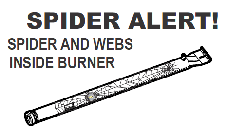 Spider alert!